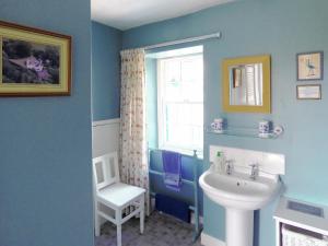 a bathroom with blue walls and a sink and a window at Little Boreland in Gatehouse of Fleet