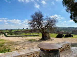 a wooden table in a field with a tree at Agriturismo Tenuta del Grillaio in Acquaviva delle Fonti