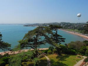 a large tree on a hill next to a body of water at Tree Tops - A4 Masts in Torquay