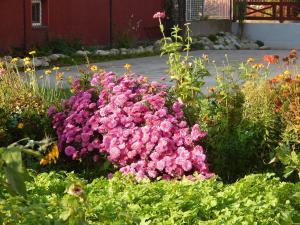Giardino di Privat Liska