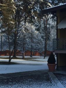 Bed&Garden during the winter