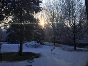 Bed&Garden during the winter
