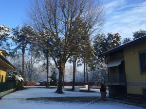 Bed&Garden during the winter