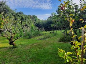 Vonkajšia záhrada v ubytovaní Le Clos de la Fuie, La Perrière, Perche