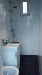 a bathroom with a toilet and a shower and a sink at Modern en sfeervol appartement aan zee met airco in Zoutelande