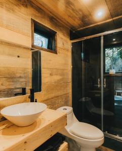 ein Bad mit einem Waschbecken, einem WC und einer Dusche in der Unterkunft RUKAKUTRAL refugio de bosque in Pucón