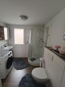 W łazience znajduje się prysznic, toaleta i umywalka. w obiekcie Ferienhaus Bergrath w mieście Zell an der Mosel