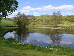 a pond with ducks in the water in a field at River View Cottage in Staveley