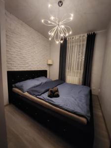 a dog laying on a bed in a bedroom at Apartament P&P Prestige II in Inowrocław