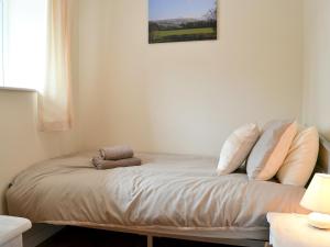 a bed with pillows on it in a room at Wren Cottage in Llandeilo