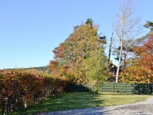 a fence in front of a yard with trees at Mountain View in Tomintoul