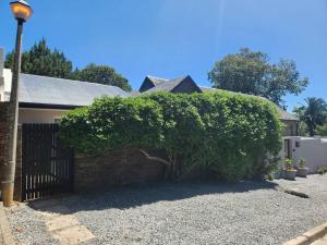 ein großer Busch neben einem Haus in der Unterkunft Oak Self Catering Cottage in Kapstadt
