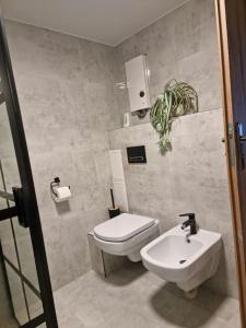 a bathroom with a toilet and a sink at Villa Fantastica Apartments in Mysłakowice