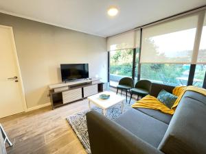 Μια τηλεόραση ή/και κέντρο ψυχαγωγίας στο Pucón Apartment
