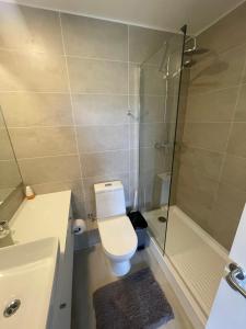 Ένα μπάνιο στο Pucón Apartment +5 φωτογραφίες