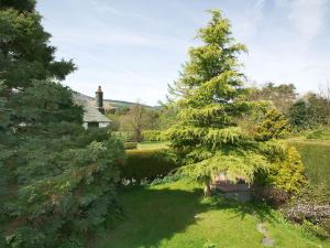 een grote dennenboom in een tuin met een huis bij Whitegates in Portinscale