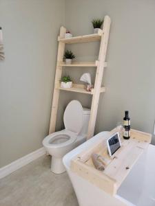 een badkamer met een toilet en een plank met planten bij Au paradis de l'Ashuap in Saint-Félicien