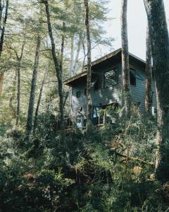 a person standing in front of a house in the woods at RUKAKUTRAL refugio de bosque in Pucón