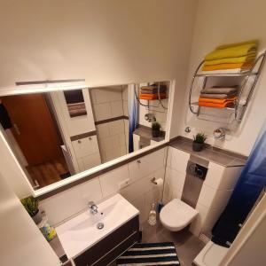 een badkamer met een wastafel, een toilet en een spiegel bij 1,5 Zimmer Apartments mit traumhafter Aussicht in Bad Kissingen