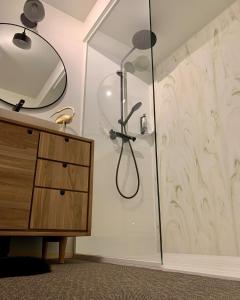 a bathroom with a shower with a mirror and a cabinet at Les pavillons de La Libellule in Beauraing