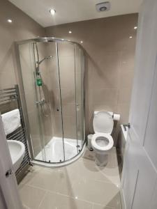 een badkamer met een douche, een toilet en een wastafel bij Griffin Apartments in Nottage
