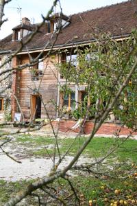 an old brick house with a tree in front of it at La Grange aux Loirs B&B in Courtioux