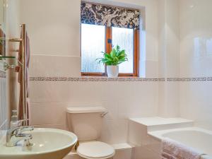 a bathroom with a toilet and a sink and a window at Castle Clover in Bridgnorth