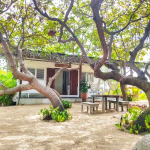 ein Picknicktisch und ein Baum vor einem Haus in der Unterkunft Casa Mais Amor in Atins