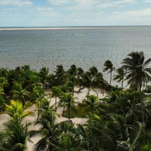 an aerial view of a beach with palm trees and the ocean at Muita Paz Rooms in Atins