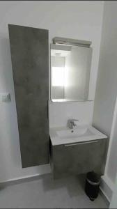La salle de bains est pourvue d'un lavabo et d'un miroir. dans l'établissement IL Gatto, à Thessalonique