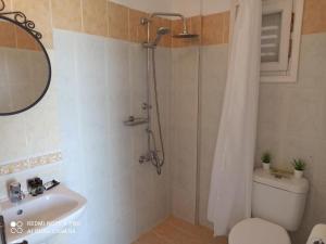 a bathroom with a shower and a toilet and a sink at Anastasios Olive Garden Apartments in Petalidi