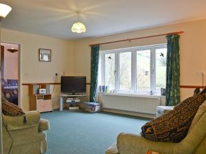 a living room with a couch and a television at Blackbird Cottage in Llanfair Caereinion