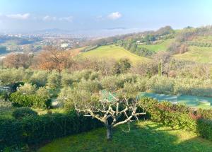 una vista sul giardino con albero e piscina di Appartamenti Pesaro Mare Ledimar a Pesaro