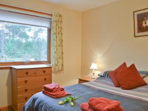 a bedroom with a bed and a window at Clunymhore in Nethy Bridge