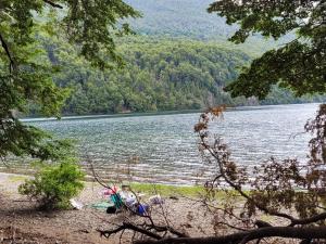 a view of a lake with a beach and trees at Casa en trevelin in Trevelín