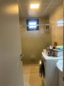 La salle de bains est pourvue d'une douche, de toilettes et d'un lavabo. dans l'établissement Dlk İmmobilien, à Istanbul