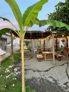 Hostel Flakos في زيهواتانيجو: منطقة نزهة مع طاولة وشجرة موز