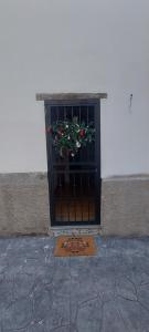 a door with a window with a plant in it at Casa Roberta Fuego in Arona