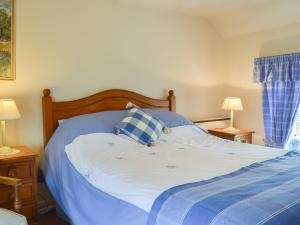 a bedroom with a bed with blue sheets and two lamps at Mavis Cottage in Kington