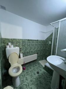 a bathroom with a toilet and a sink at Pensiunea Aurora Vartop in Vartop