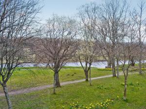 a group of trees in a field with a path at Haugh House in Aberlour