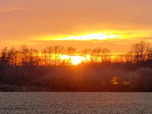 ミュンスターにあるTHUERS IM BUSCH - Beste Stube - ab 3 Nächte - Ferienwohnungen mit Stil in Münsterの木々の水上夕日