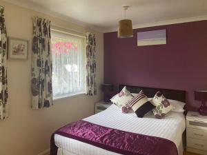 a bedroom with a bed with purple walls and a window at Eden - B6526 in Saint Cleer