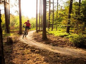 a person riding a bike on a dirt road in the woods at Hidden Cottage in Spark Bridge