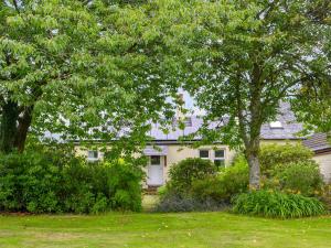 una casa con árboles y plantas en un patio en Blairhosh Cottage, en Balloch