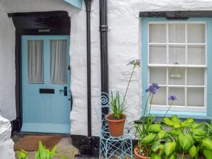 a house with a blue door and some plants at Haven Cottage - 28269 in Port Isaac