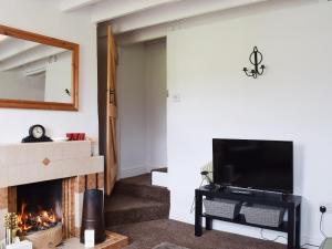 a living room with a fireplace and a television at Greenside Cottage in Caldbeck