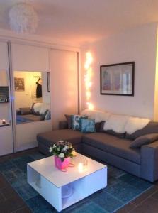 sala de estar con sofá y mesa de centro en Beau studio près de la TOUR EIFFEL / ROLAND GARROS en Boulogne-Billancourt
