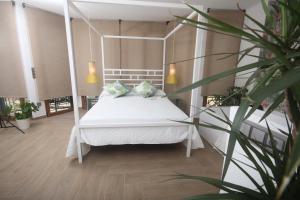 ein Schlafzimmer mit einem weißen Bett und einer Pflanze in der Unterkunft APARTAMENTOS GORI SUITES HIDROMASAJE accesibles minusválidos in Villafranca del Cid