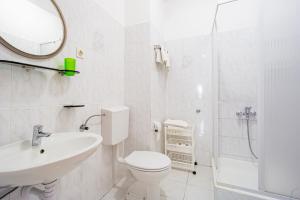 a bathroom with a toilet and a sink and a mirror at Erica perfect central location near beach in Novalja